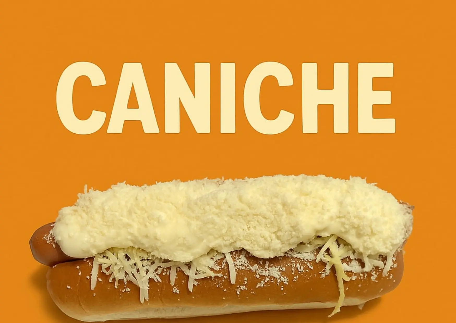 Hot Dogs Chihuahua 4